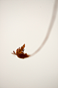 Withinfinite on Behance