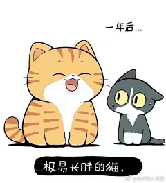 大西几哟采集到小漫画