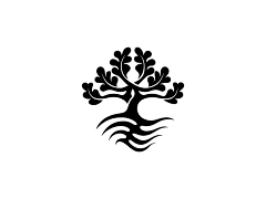 ZYdana采集到树