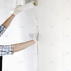 壁纸,附着的,建筑承包商,墙,男性,仅男人,仅成年人,建筑业,成年的,室内设计师