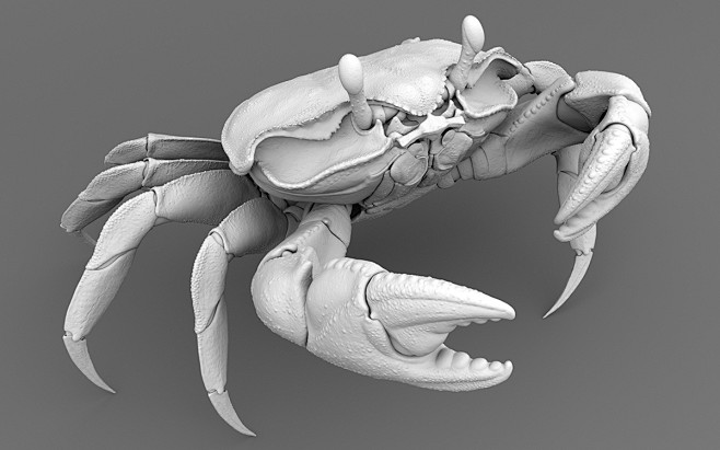 Crab : 3D Crab Clay ...