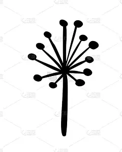 手绘矢量复古花元素-月桂叶花漩涡和羽毛。野生和自由。完美的邀请贺卡，引用博客，婚礼框架，海报