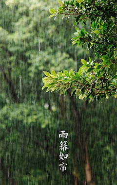 盖世辣妹采集到节气