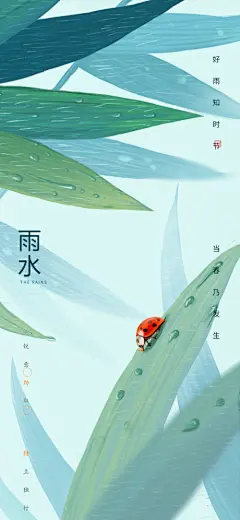 【开始画-免费】海报 二十四节气 雨水  惊蛰 插画 荷花 瓢虫 树叶 鲤鱼 山水 江南 系列|277901 