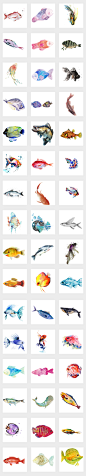 超美手绘鱼蓝色海洋鱼水彩鲤鱼青鱼海洋生物PNG免扣素材
