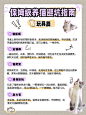 宠物猫咪知识科普套装小红书配图