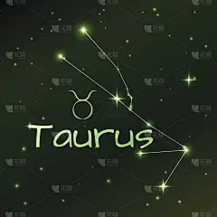 土象的金牛座星座，占星术，矢量艺术和插图。