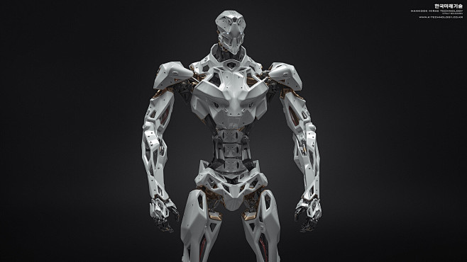 HMT – Bipedal Robot ...