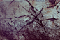Digital Art Texture 80 by mercurycode