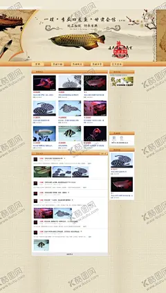 水族观赏鱼金龙鱼红龙鱼网页 【酷图网】水族,观赏鱼,红龙鱼,水族产品,特产详情页,设计排版,文字排版,电商设计,淘宝,食品,美食,排版,淘宝素材,天猫素材,美食海报,食品海报,淘宝店铺,天猫店铺,年糕,糯米,五谷杂粮,打糍粑,特产美食,传统小吃,传统美食,小吃特产,邵阳特产,湖南特产,杂粮,卡通糍粑,设计,淘宝界面设计,淘宝装修模板