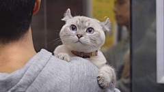 江门采集到M猫