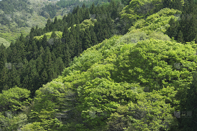 绿山