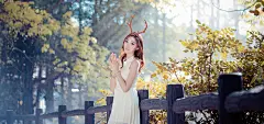 一个人的童话，清纯美女，秋天，树林，栅栏，唯美风景桌面壁纸