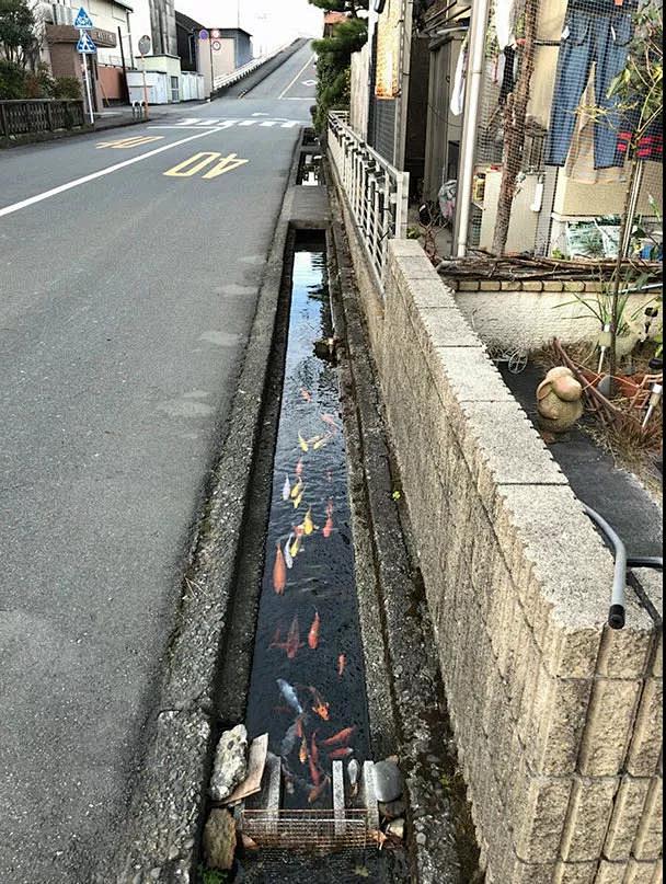 日本最变态小镇15年零垃圾！还用废品造出...