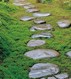 大漠孤烟123采集到日式庭院