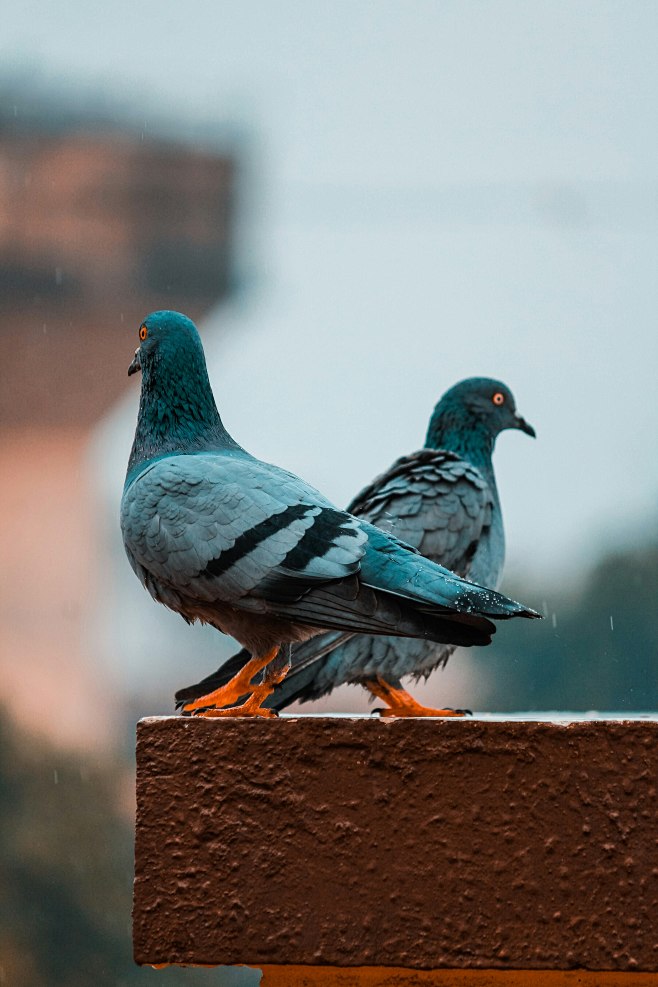 selective focus phot...