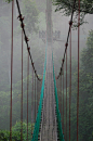travelingcolors:
Canopy Walk, Danum Valley | Malaysia (by Michael Cook)
