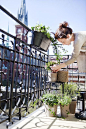 Woon jij in een stad en heb je geen tuin tot je beschikking, maar droom jij wel van je eigen moestuin? Creëer dan je eigen moestuin op je balkon. http://www.vriendin.nl/creatief/zelf-maken/6565/je-eigen-moestuin-zonder-tuin