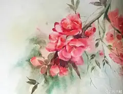 水彩---樱花-梨花-桃花-海棠花、梅花 - 高清图片，堆糖，美图壁纸兴趣社区