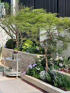 100平花园完工实景_拥抱松弛感庭院生活。_7_倪大山nico_来自小红书网页版