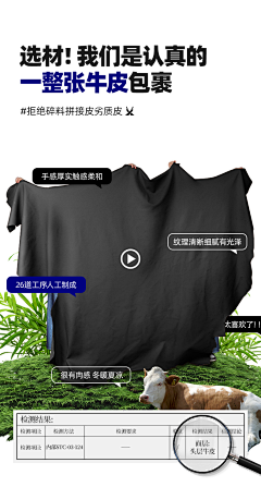 窝牛漫步采集到牛皮