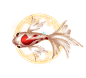 fish20