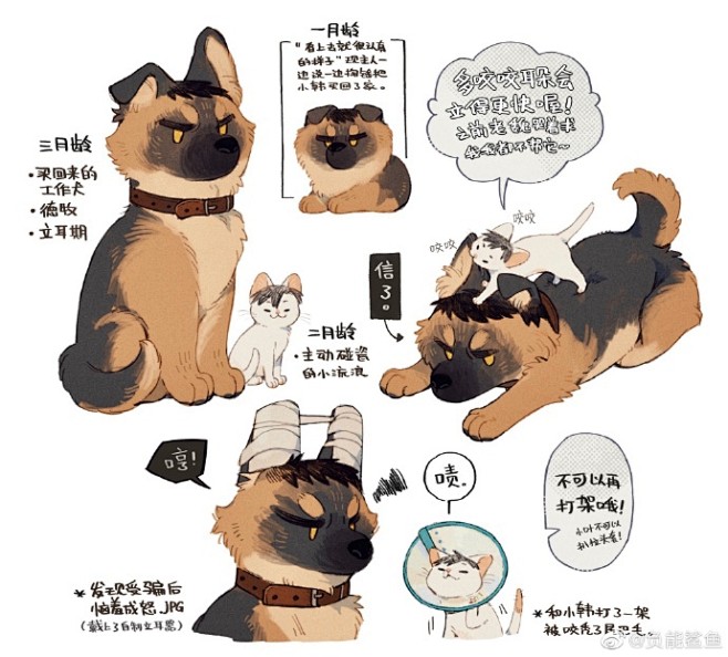 虽然拟猫拟狗都拟腻了，但立耳期德牧小韩实...