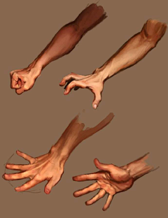 六萬采集到Anatomy Hands & Feet