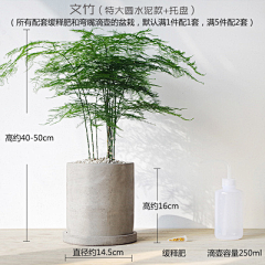 沫li采集到盆栽/家具