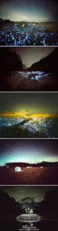 摄影师李Eunyeol构造复杂的灯光装置，看起来就像夜空发光的恒星和行星嵌套在高高的草丛中或深的土裂缝之间的颠倒翻转