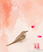 闲花落尽无人阅，潇潇暮雨子规啼