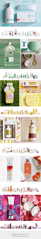 Thymes Studio Collection | Cue | A Brand Design Company
