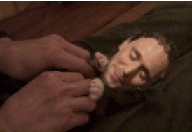 #TomHiddleston##抖森# ...