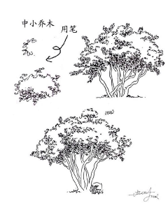 晟逸采集到素描临摹