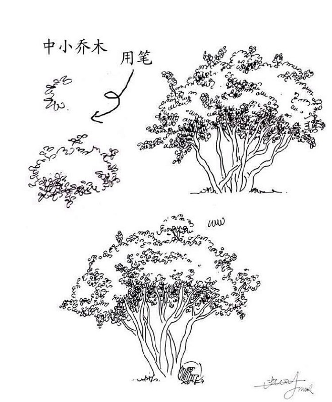 一些实用的 动漫植物速写技法…自己收藏，...