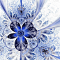 深蓝色分形花