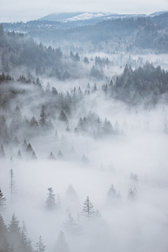 希瑟采集到D背景-山，水，天，森林