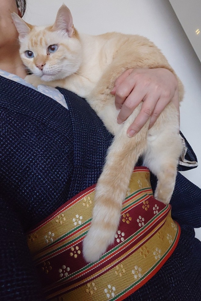 动物参考