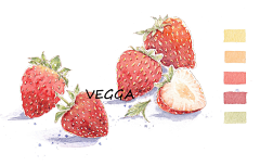 VEGGA小笨采集到VEGGA小笨的手绘清新水彩