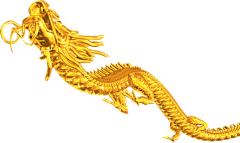 萝卜不爱吃萝卜采集到采集人物