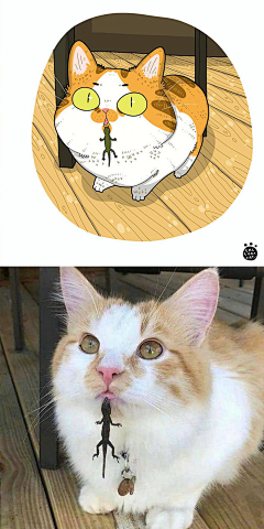 天亮了~采集到插画
