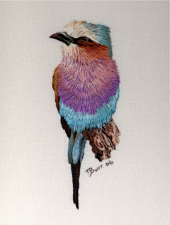 路守河采集到插画素材