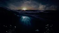 高清蓝色海洋5K动态壁纸