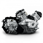 发动机Rotax 500 4-TEC
