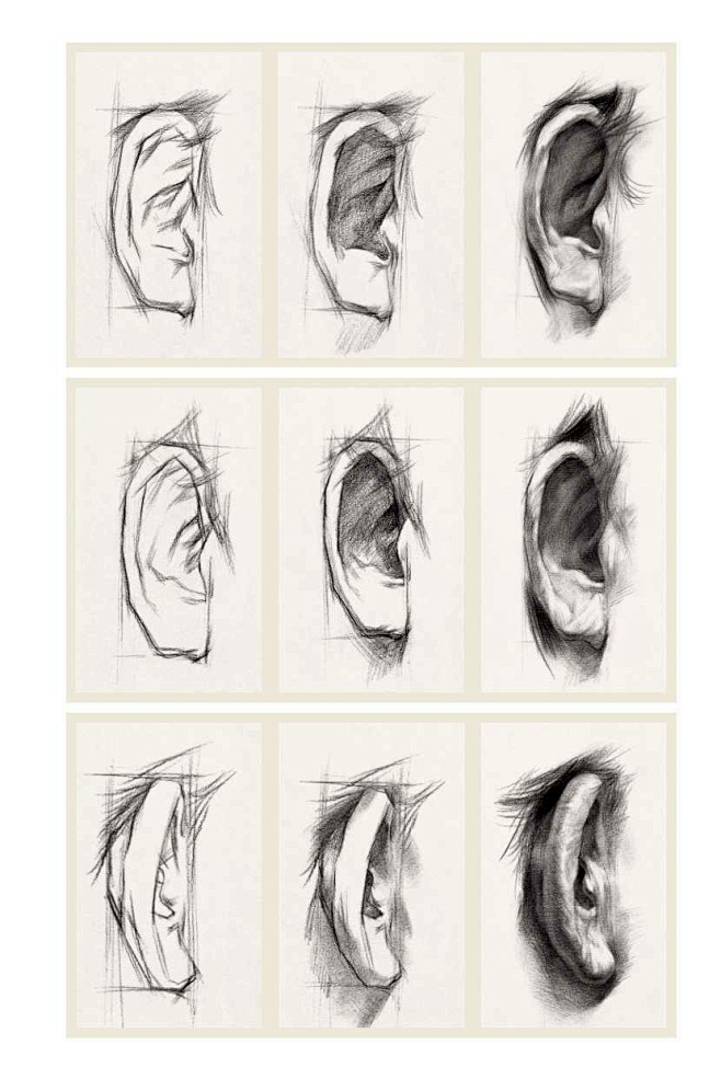素描耳朵 (24)