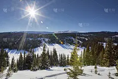在山上骑雪地车的人