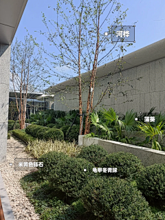 小飞废采集到架空层