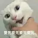 无终a