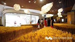 董青青采集到秋季