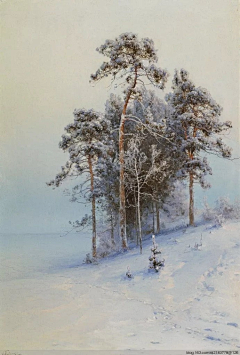 文风云武采集到雪景